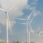 Woman with hardhat looking at wind farm