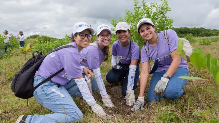 AES Panama Reforestation Isla Galeta Mangroves