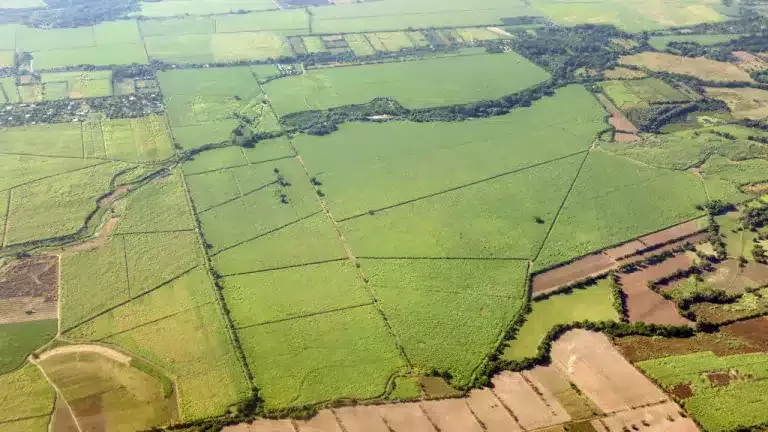 Place_farmland_aerial