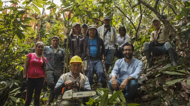 impact - people in jungle with chainsaw colombia