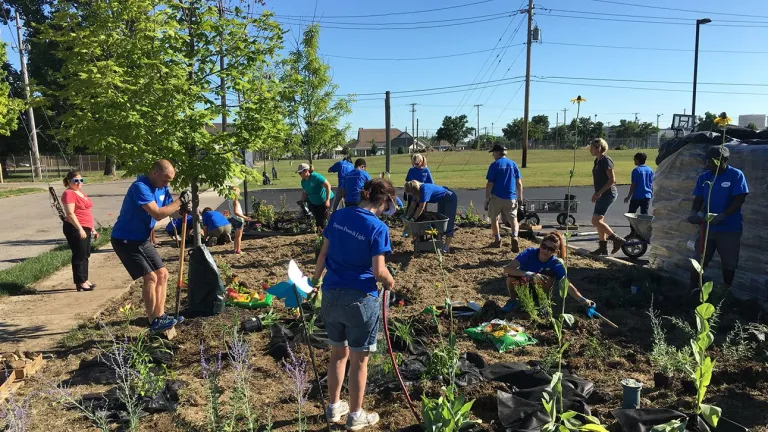 Group of people planting trees