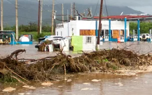 Hurricane damage