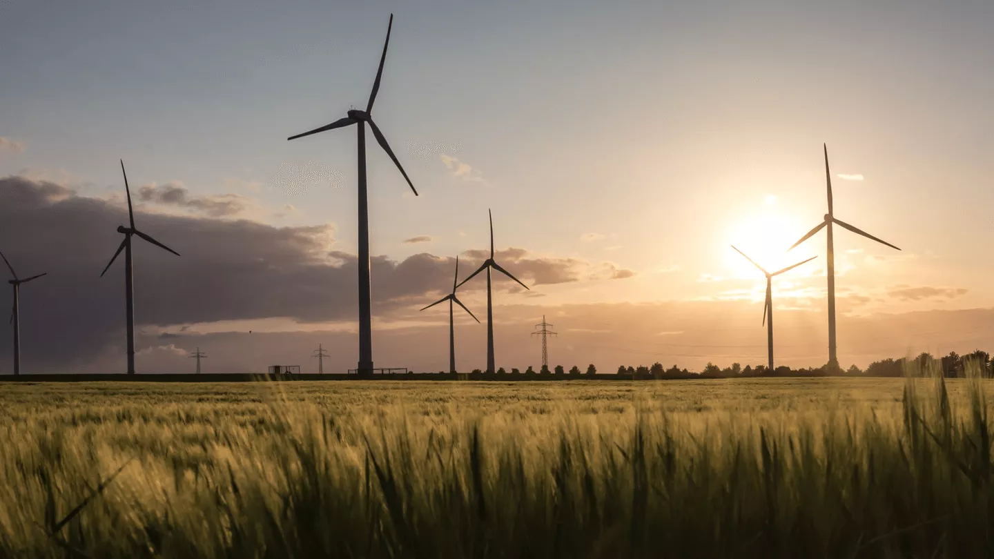 Windmills in a field at sunset