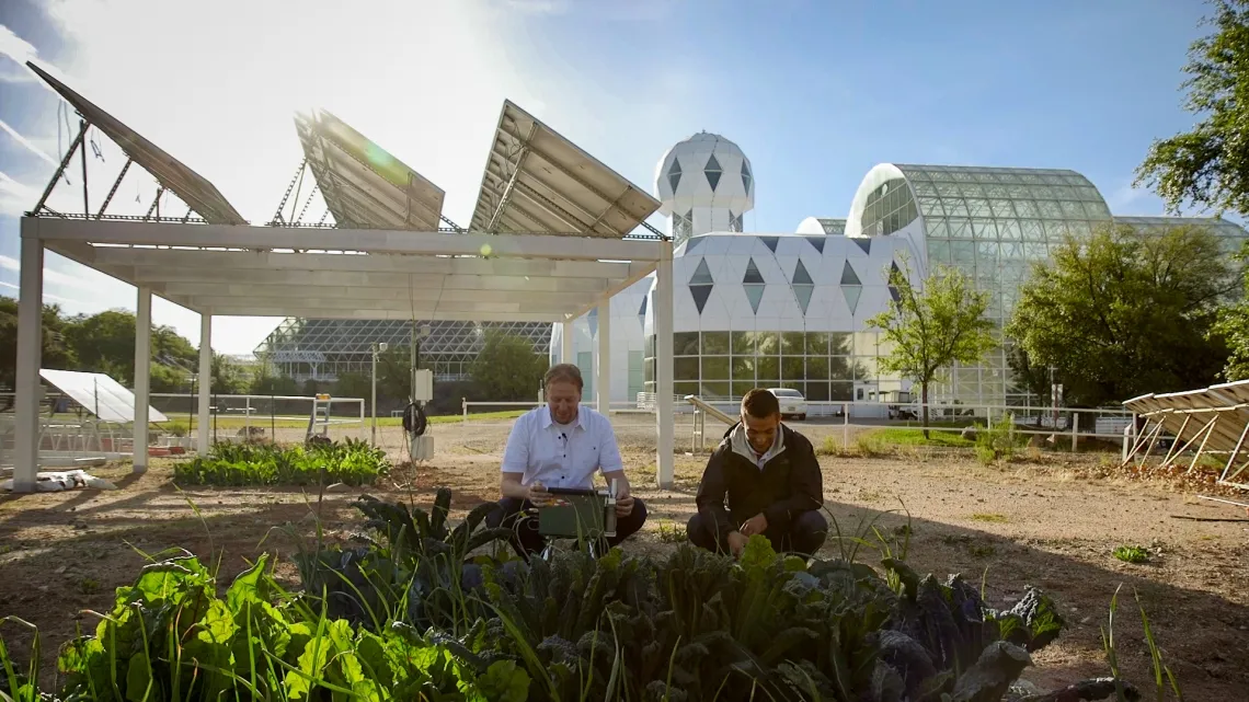 This image depicts two individuals working in a garden under a modern agrivoltaic setup at the University of Arizona, which integrates solar panels with agriculture. In the foreground, lush green leafy plants grow in neat rows, indicating a thriving garden or crop. The two individuals, one wearing a white shirt and the other in a dark jacket, are kneeling among the plants.