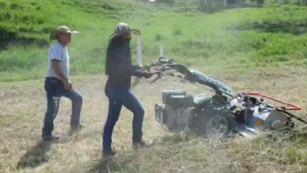 women working in field