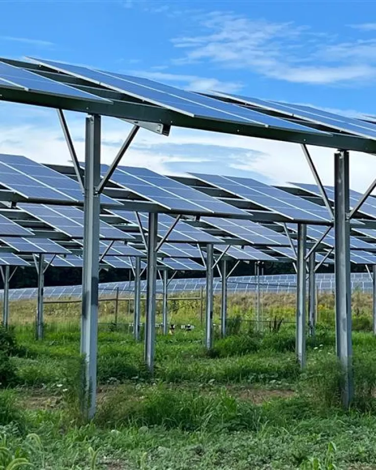 Grafton solar 5